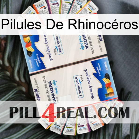 Pilules De Rhinocéros kamagra1